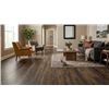 Image 1 : Box of Evoke Robson 4.5 Teak Luxury Vinyl Flooring (23.32 SF)