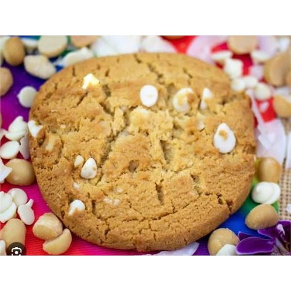 Bake City Cookie Protein Hawaiian Chocolate Macadamia 14 Oz, Lot of 12
