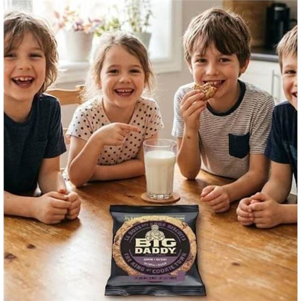 Big Daddy Oatmeal & Raisin Cookies 100g x 8
