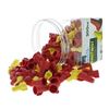 Image 1 : Ideal WingTwist Wire Connectors, 150 Pack