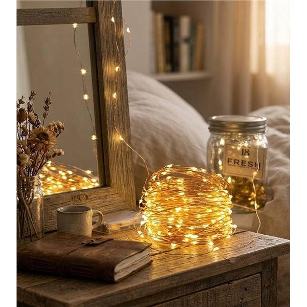 Aogist 12-Pack Warm White Fairy Lights