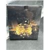 Image 2 : Aogist LED Fairy Lights 12-Pack, Warm White