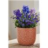 Image 1 : Stone & Beam Floral Embossed Planter Small