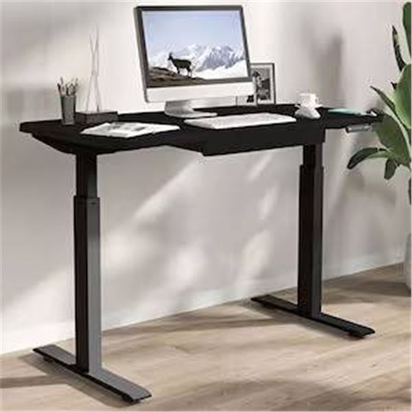 48x24 Electric Height Adjustable Desk