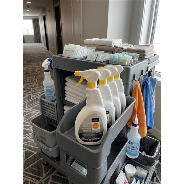 6 PURE Gold Foaming Stain Removers
