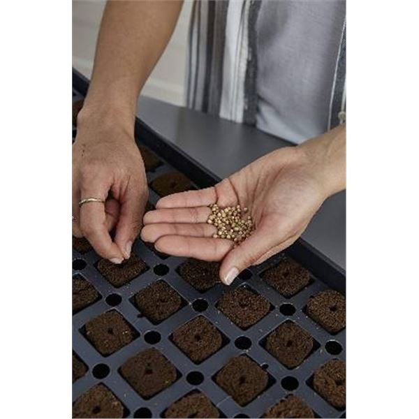 2 Root Farm Seed Starting Kits