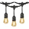 Image 1 : Feit Electric 48ft LED String Lights