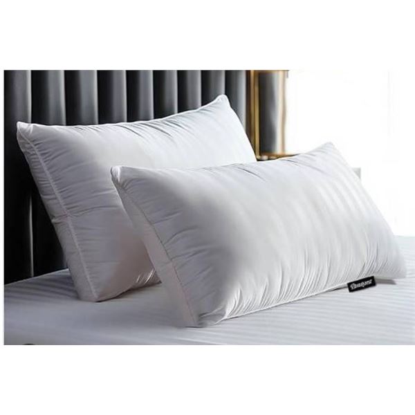 Lot of 2 - Beautyrest Pillows
