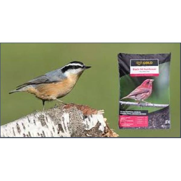 Co-op Gold Black Oil Sunflower Seeds 4kg