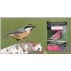 Image 1 : Co-op Gold Black Oil Sunflower Seeds 4kg