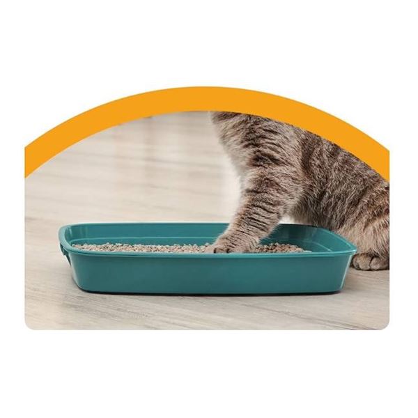 Arm & Hammer Double Duty Cat Litter 6.4kg