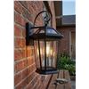 Image 1 : Lutec Traditional Outdoor Wall Light