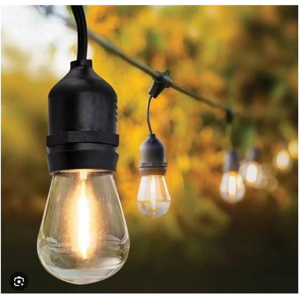 Feit Electric LED String Lights, 14.6m (48 ft), 24 Bulbs