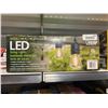 Image 2 : Feit Electric LED String Lights, 14.6m (48 ft), 24 Bulbs