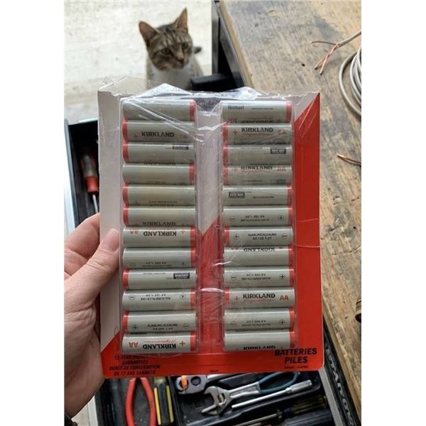48pc Kirkland Signature AA Alkaline Batteries