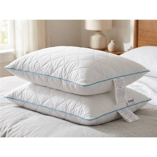 Lot of 2 Standard Down Alternative Bed Pillows