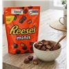 Image 1 : Reese's Minis Peanut Butter Cups 800g