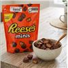 Image 1 : Reese's Minis 800g Bag