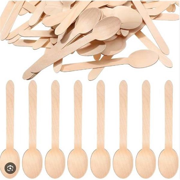 500 Wooden Soup Spoons