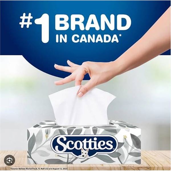 19  Boxes Scotties Premium Facial Tissues
