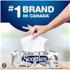 Image 1 : 19  Boxes Scotties Premium Facial Tissues