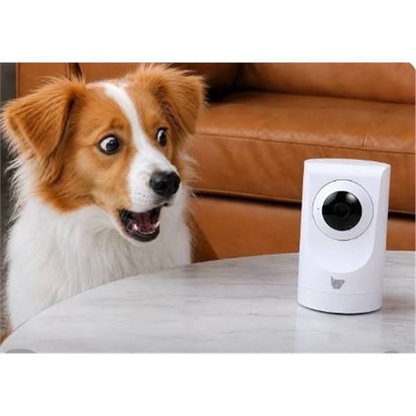 Instachew Purrrsight 360 Smart Pet Camera