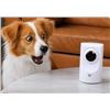 Image 1 : Instachew Purrrsight 360 Smart Pet Camera