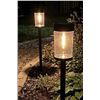 Image 1 : 2-Pack Solar Torch Pathway Lights