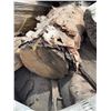 Image 4 : Bulk Bag of Split Firewood on Pallet