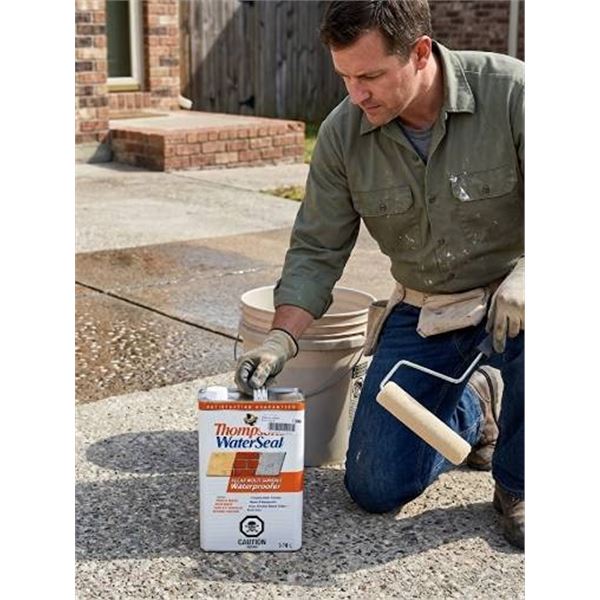 Thompson's WaterSeal Multi-Surface 3.78L