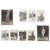 Image 1 : Edgar Stevens Hand Colored Native Model Photos (9)