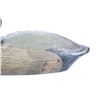 Image 8 : Tom Taber Redheaded Wooden Duck Decoy
