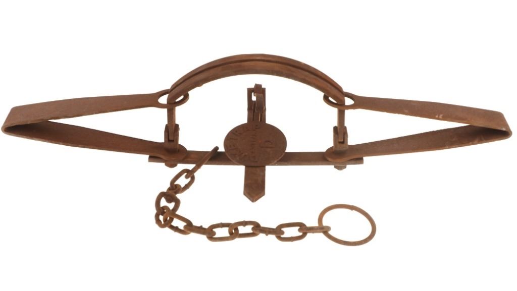 Duke Large No. 16 Grizzly Bear Large Trap