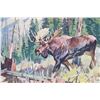 Image 7 : "Carl Rungius, Big Game Painter", W. J. Shaldach