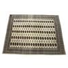 Image 1 : Mid-20th C. Tunisian Zerhivas / Zarbeeya Wool Rug