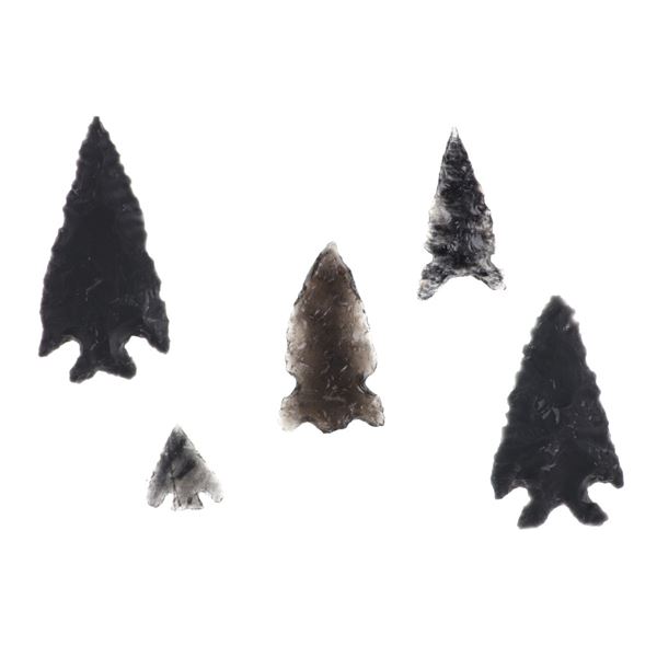 Lake Co., Oregon Triangular Side Notched Points