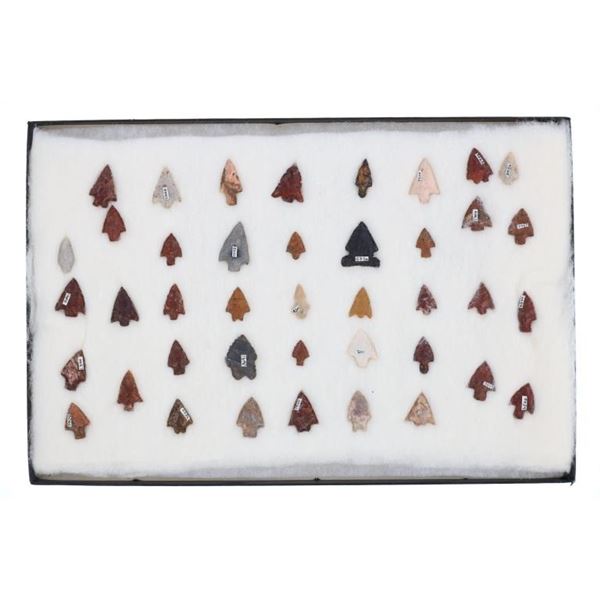 North American Projectile Point Variety Collection