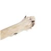 Image 8 : Plains Indians Coyote Antler Medicine Rattle Stick