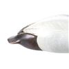 Image 5 : Montana, Big Sky Carvers Canvasback Duck Decoy