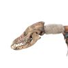 Image 2 : Chippewa Cree Coyote Skull Dance Stick