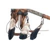 Image 7 : Chippewa Cree Coyote Skull Dance Stick