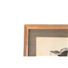 Image 10 : Audubon's Pileated Woodpecker Lithograph 1940-50's