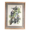 Image 1 : Audubon's Pileated Woodpecker Lithograph 1940-50's