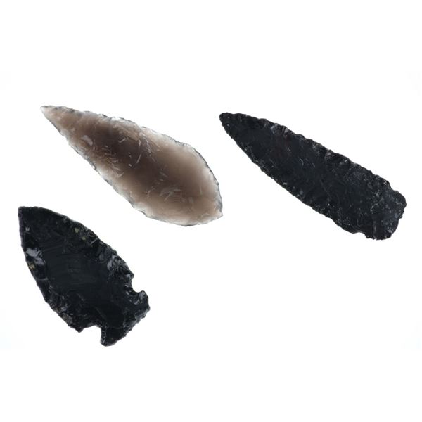 Lake Co., Oregon Notched & Ovoid Projectile Points