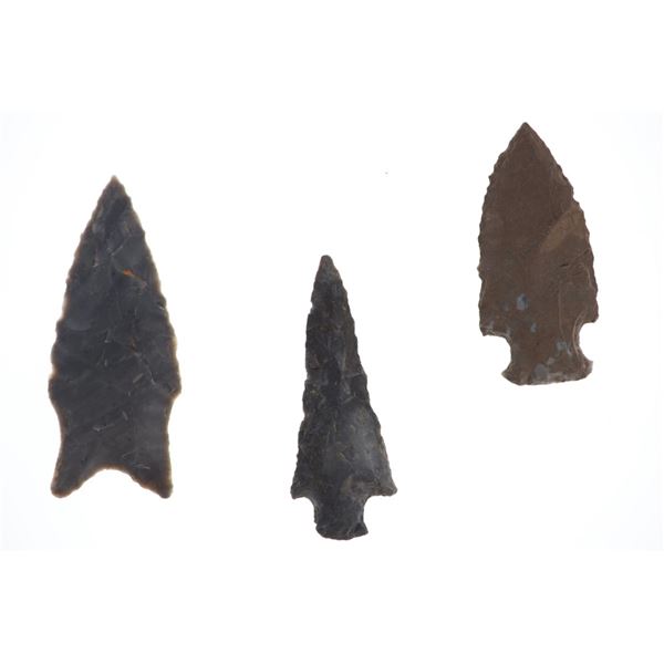 Ex-Jim Young Napped Triangular Projectile Points