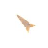 Image 6 : Columbia River, PNW Triangular Projectile Points