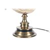 Image 4 : Early Vintage Rocky Mountain Rams Horn Table Lamp
