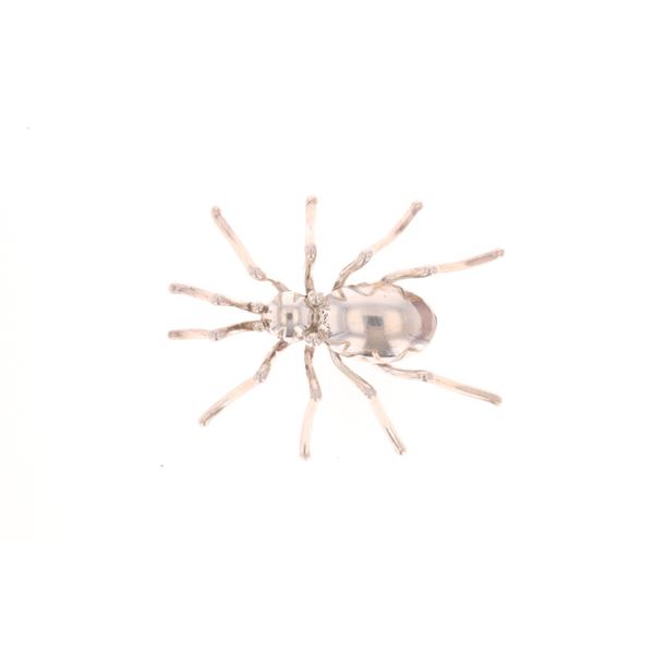 Navajo Elisabeth Guerro Sterling Silver Spider Pin