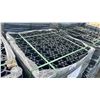 Image 2 : 4' X 4' PALLET OF PLASTIC INTERLOCKING PROFESSIONAL LANDSCAPING GRID PLATES *MUST TAKE ALL ON