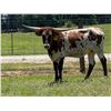 Image 1 : Red's Bandita